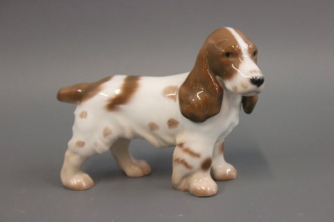B&G porcelain figurine, Spaniel, no. 2172.
5000m2 showroom.
