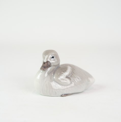 Porcelain figurine - Swan cub - Royal Copenhagen - Allan Therkelsen
Great condition
