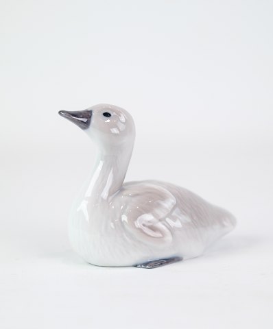 Porcelain figurine - Swan cub - Royal Copenhagen - Allan Therkelsen
Great condition
